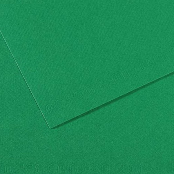 Canson Fon Kartonu (Dokulu) Mı-Teıntes 25 Lİ 50x65 160 GR 575 Brıllıard Green 200321234