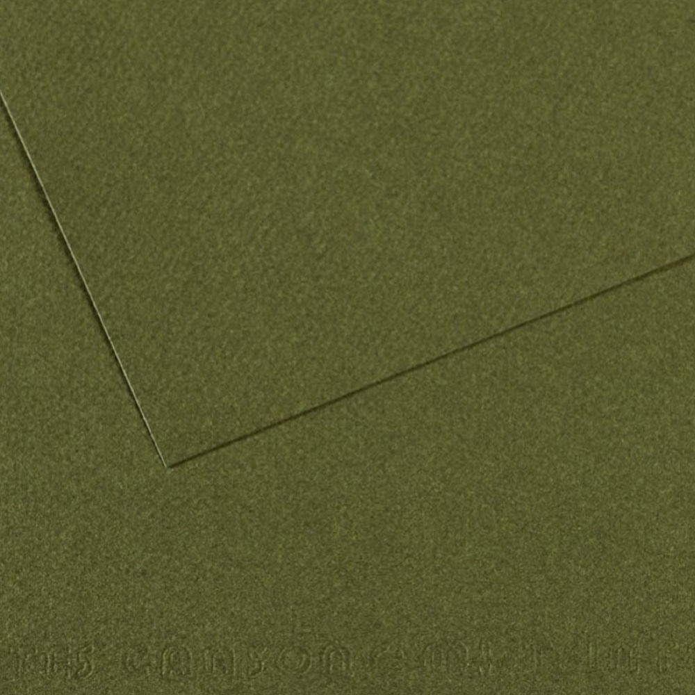 Canson Fon Kartonu (Dokulu) Mı-Teıntes Sh Canmt 50x65 160 GR Grn 448