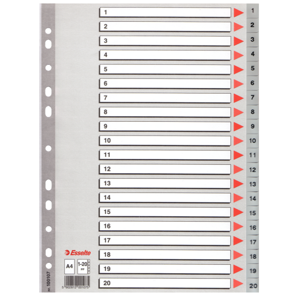 Esselte Seperatör 1-20 Rakamlı Plastik A4 100107