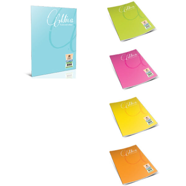 Gıpta Defter (Dikişli ) Mica Plastik Kapak Kareli 40 YP A4 1703